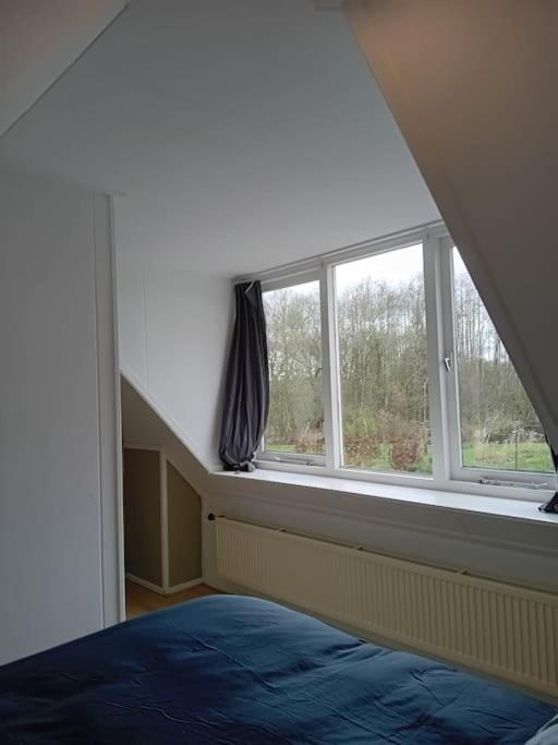 Ruim Huisje Op Een Prachtige Plek Hemrik Exterior foto