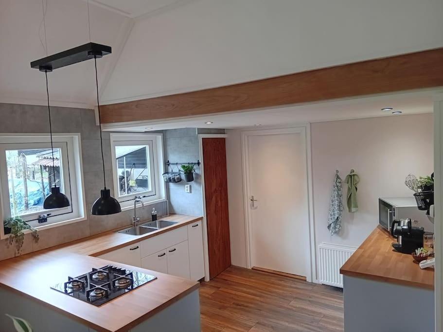 Ruim Huisje Op Een Prachtige Plek Hemrik Exterior foto