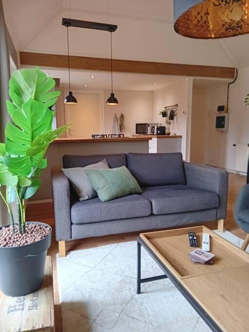 Ruim Huisje Op Een Prachtige Plek Hemrik Exterior foto