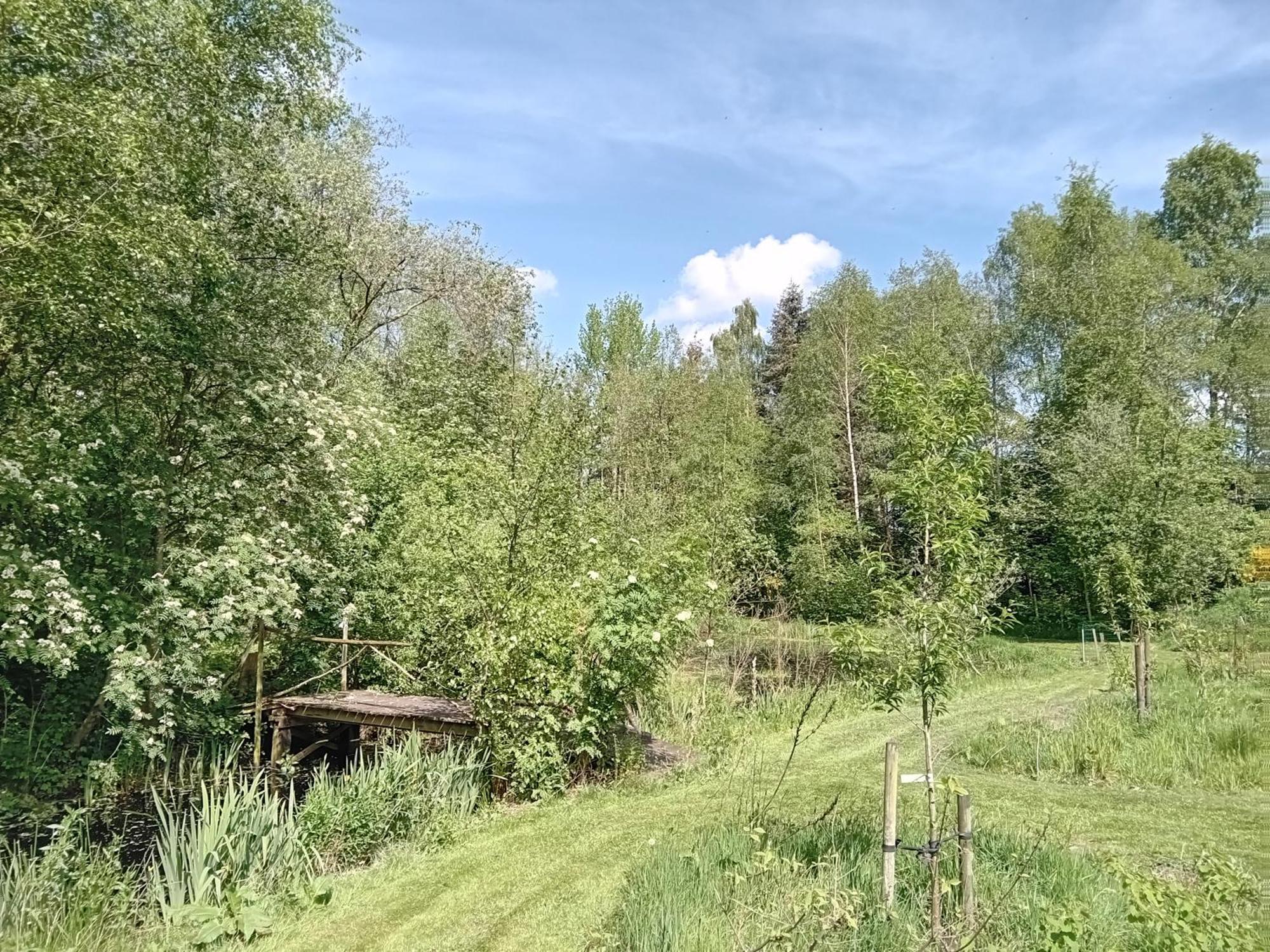 Ruim Huisje Op Een Prachtige Plek Hemrik Exterior foto